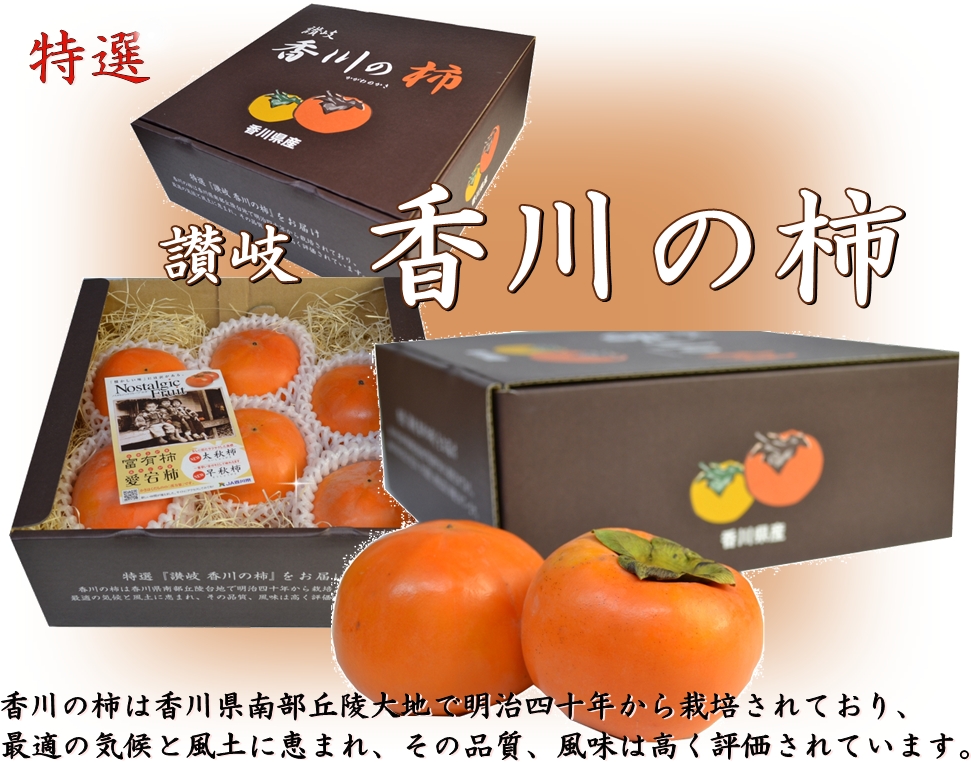 香川の柿