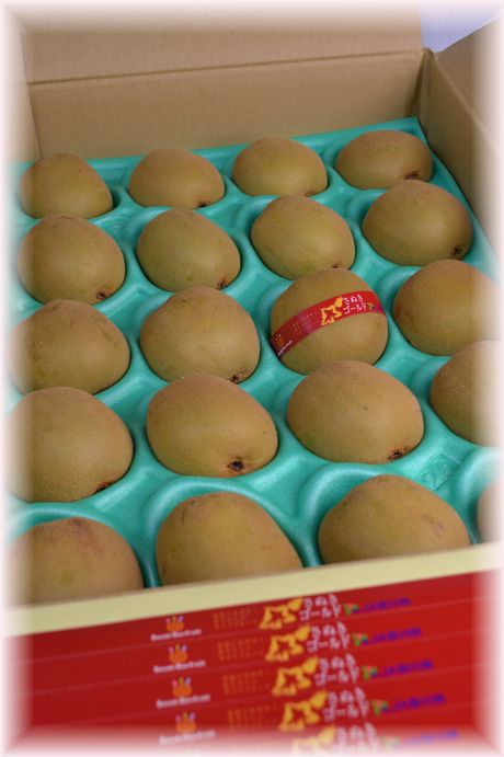 画像の説明 画像の説明